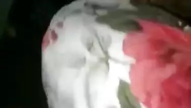 Desi girl fucking mms clip part 2